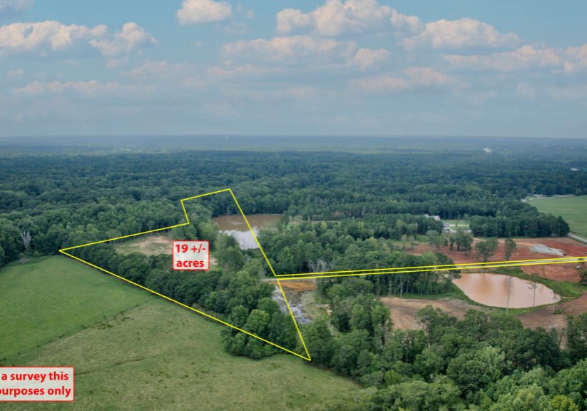 HD_1756318579254_4_print_Burr_Harris_Outline_2